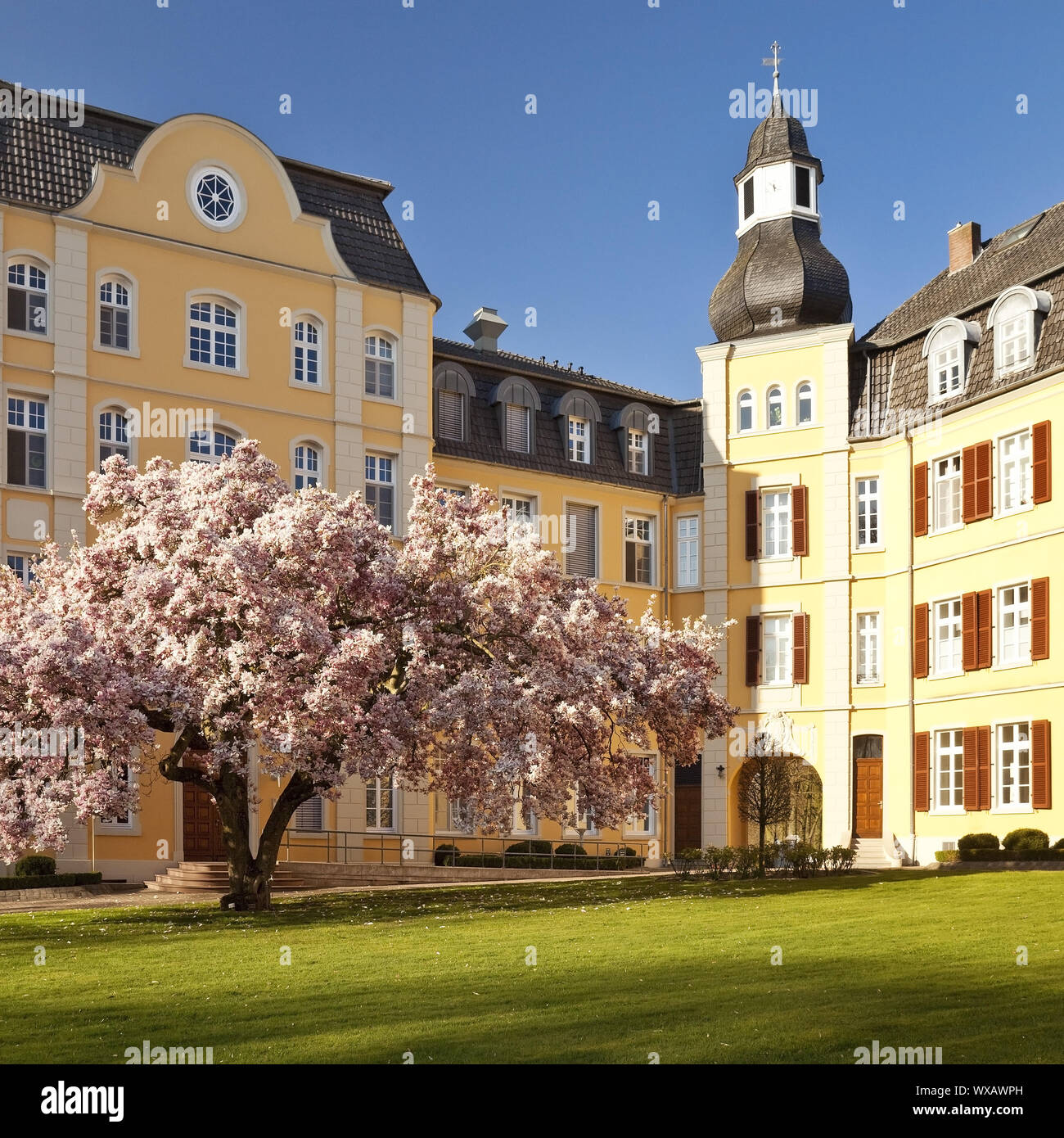 Haus Aspen im Frühjahr, Rees, Niederrhein, Nordrhein-Westfalen, Deutschland, Europa Stockfoto