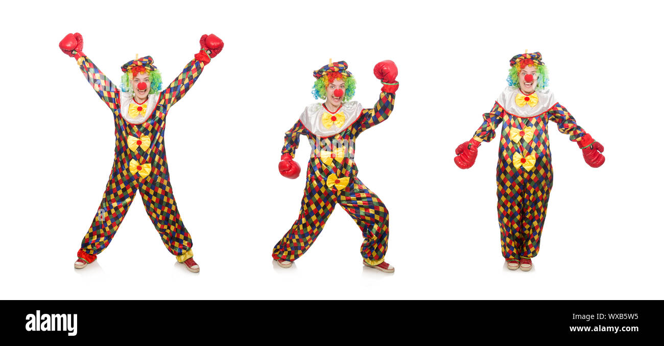 Clown mit Boxhandschuhen isoliert auf weiss Stockfoto
