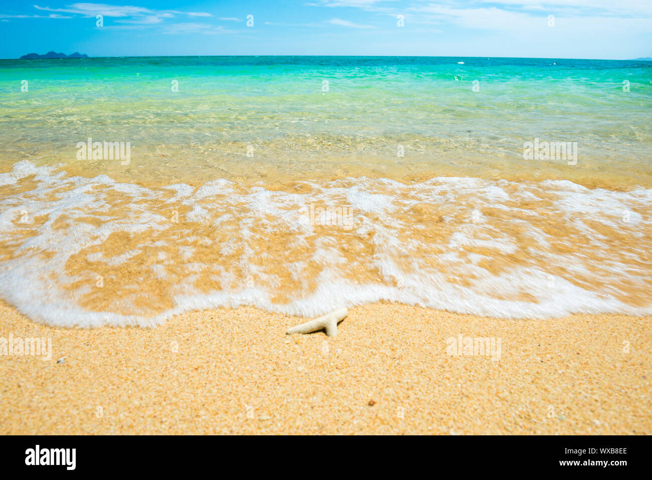 Marine mit coral Sand tropischen Strand Stockfoto