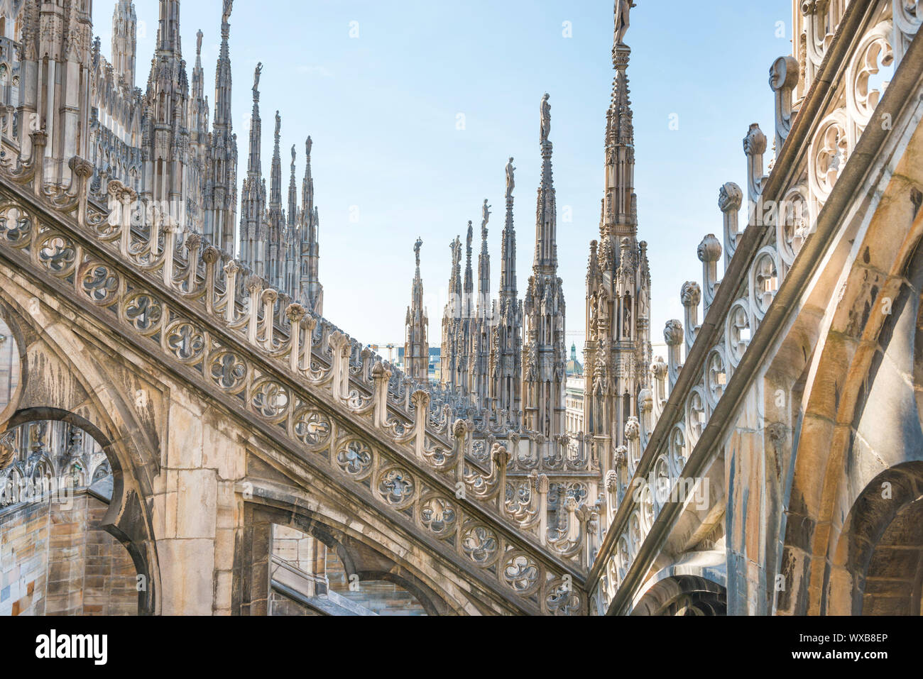 Architektur auf dem Dach des Duomo Stockfoto