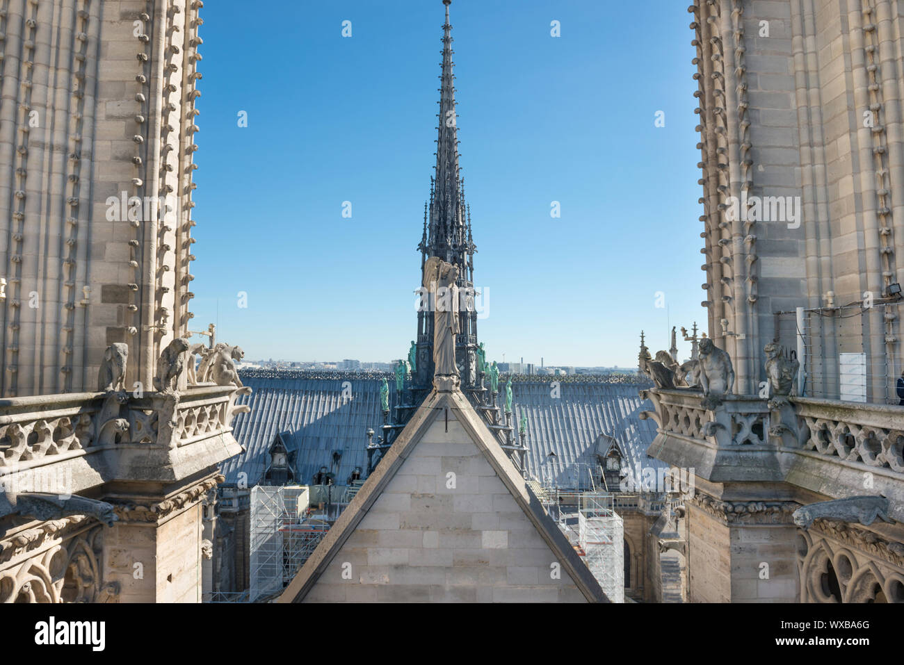 Statuen auf dem Dach von Notre-Dame de Paris. Stockfoto