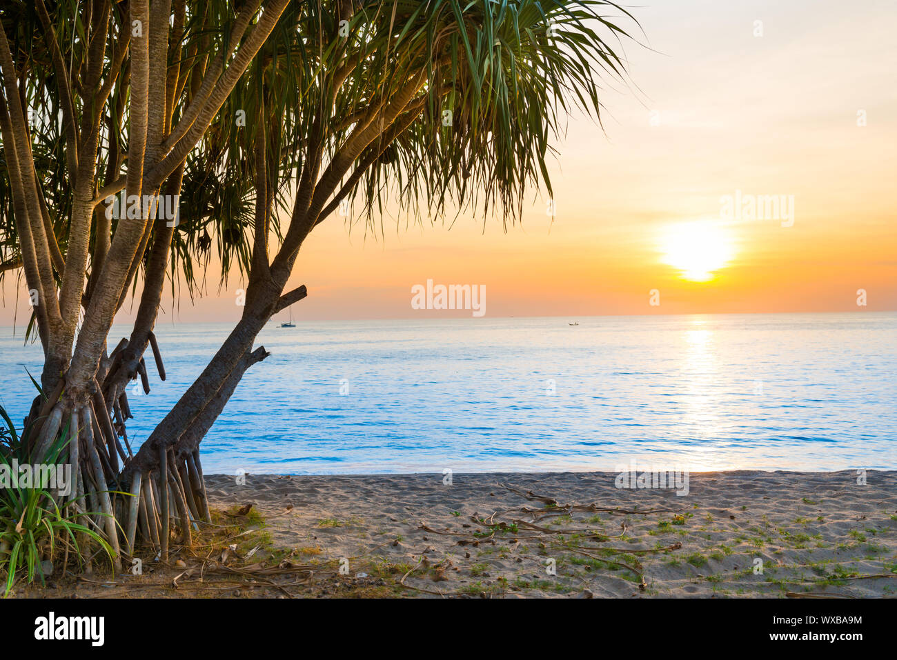 Sonnenuntergang am tropischen Strand mit Palmen Stockfoto