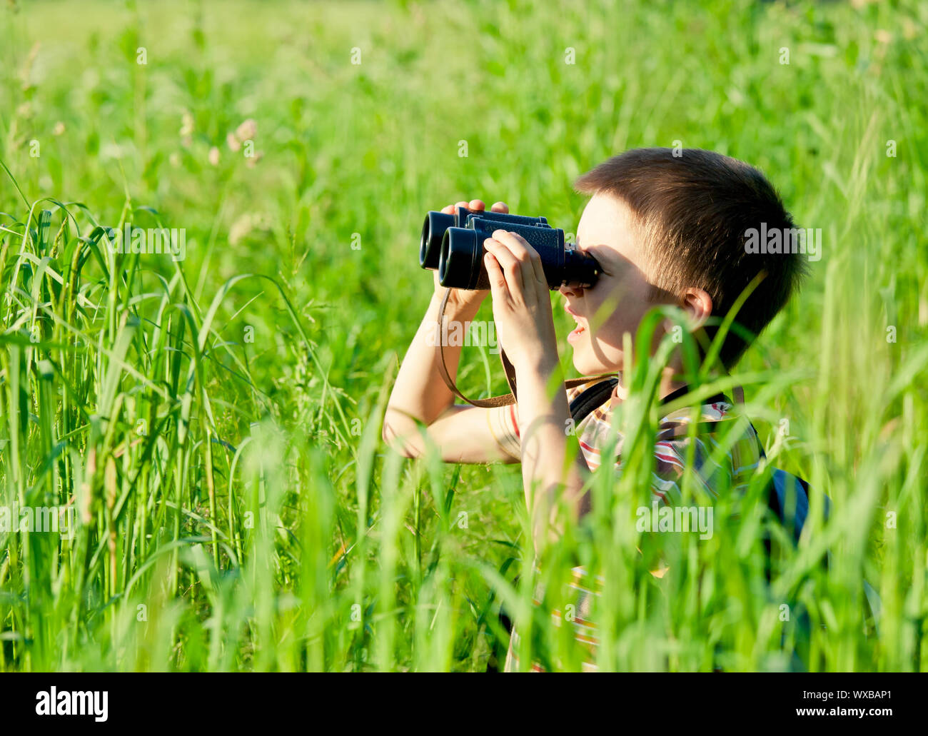 Kleiner Junge in einem Feld Blick durch ein Fernglas Stockfoto