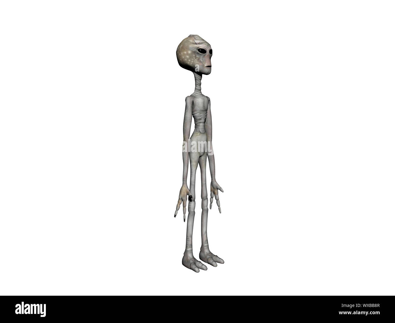 Ariden Aliens von zarter Konstitution Stockfoto