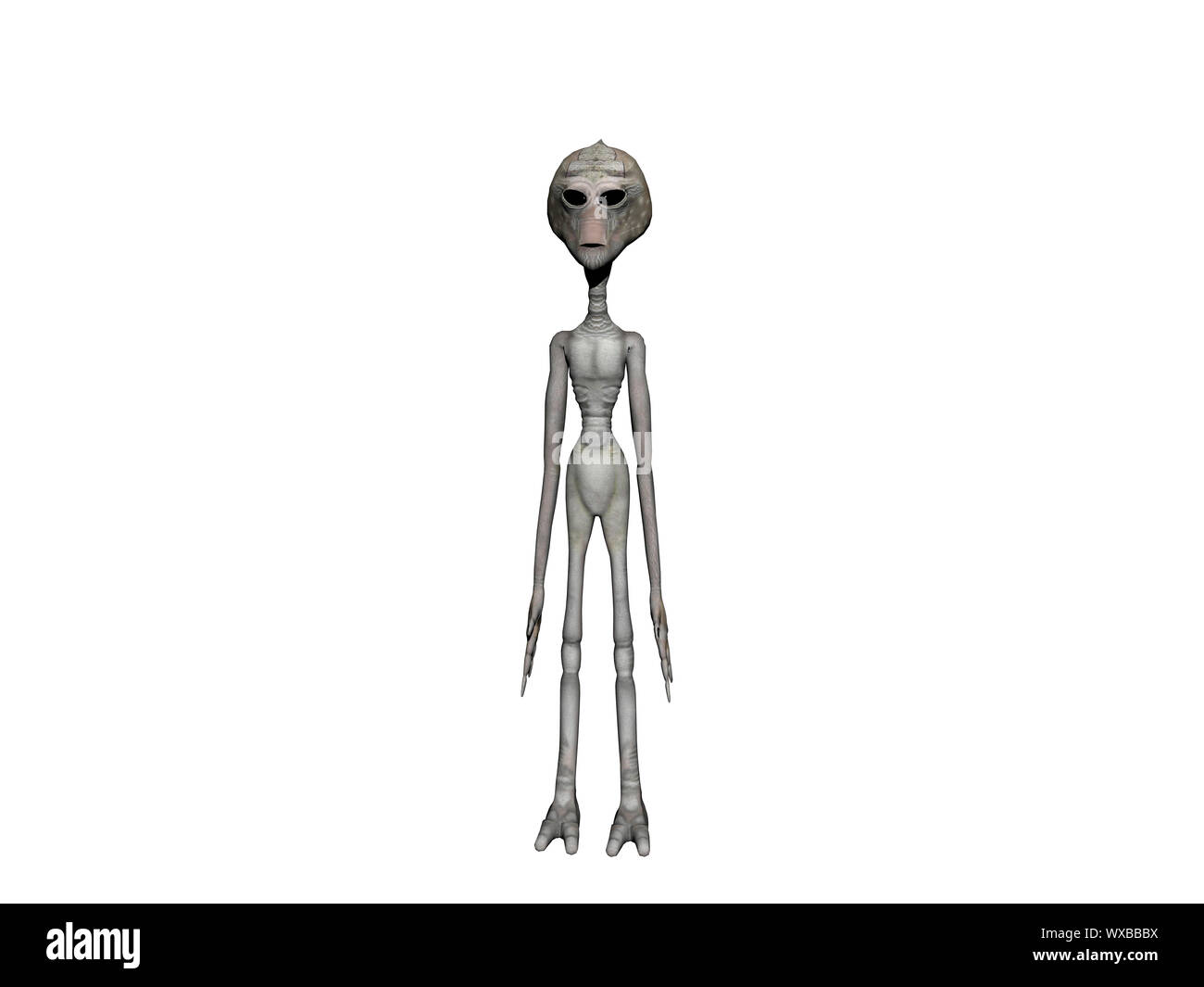 Ariden Aliens von zarter Konstitution Stockfoto