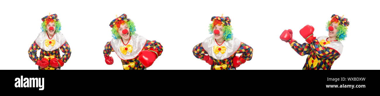 Clown mit Boxhandschuhen isoliert auf weiss Stockfoto