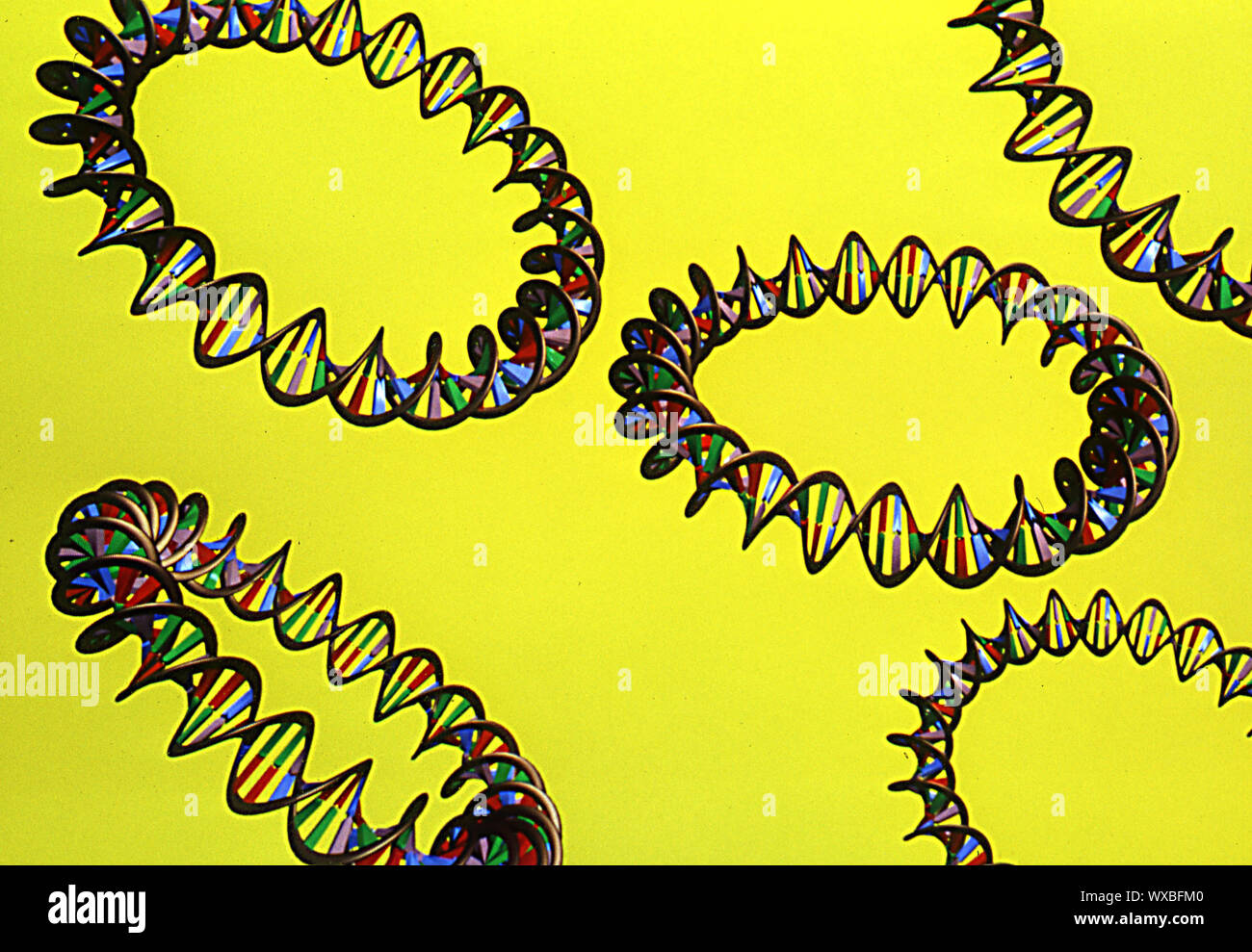 DNA-Moleküle wie Plasmide Stockfoto