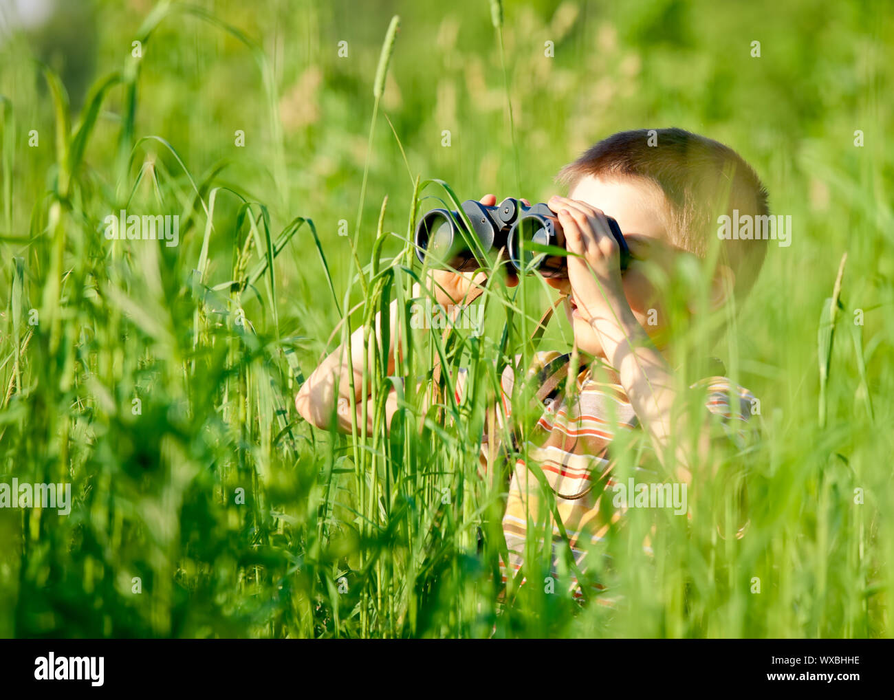 Kleiner Junge in einem Feld Blick durch ein Fernglas Stockfoto