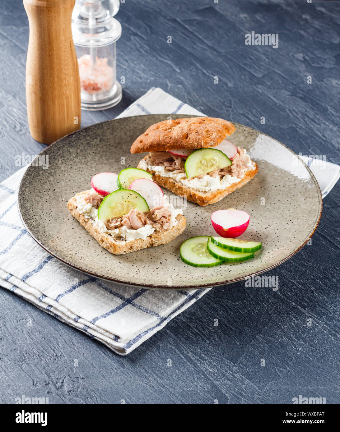 Lecker Thunfisch Sandwich, serviert mit Radieschen und Gurken Stockfoto