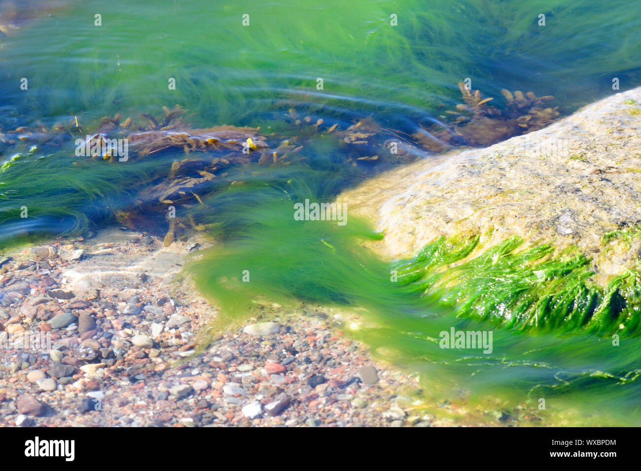 Ostsee Stockfoto