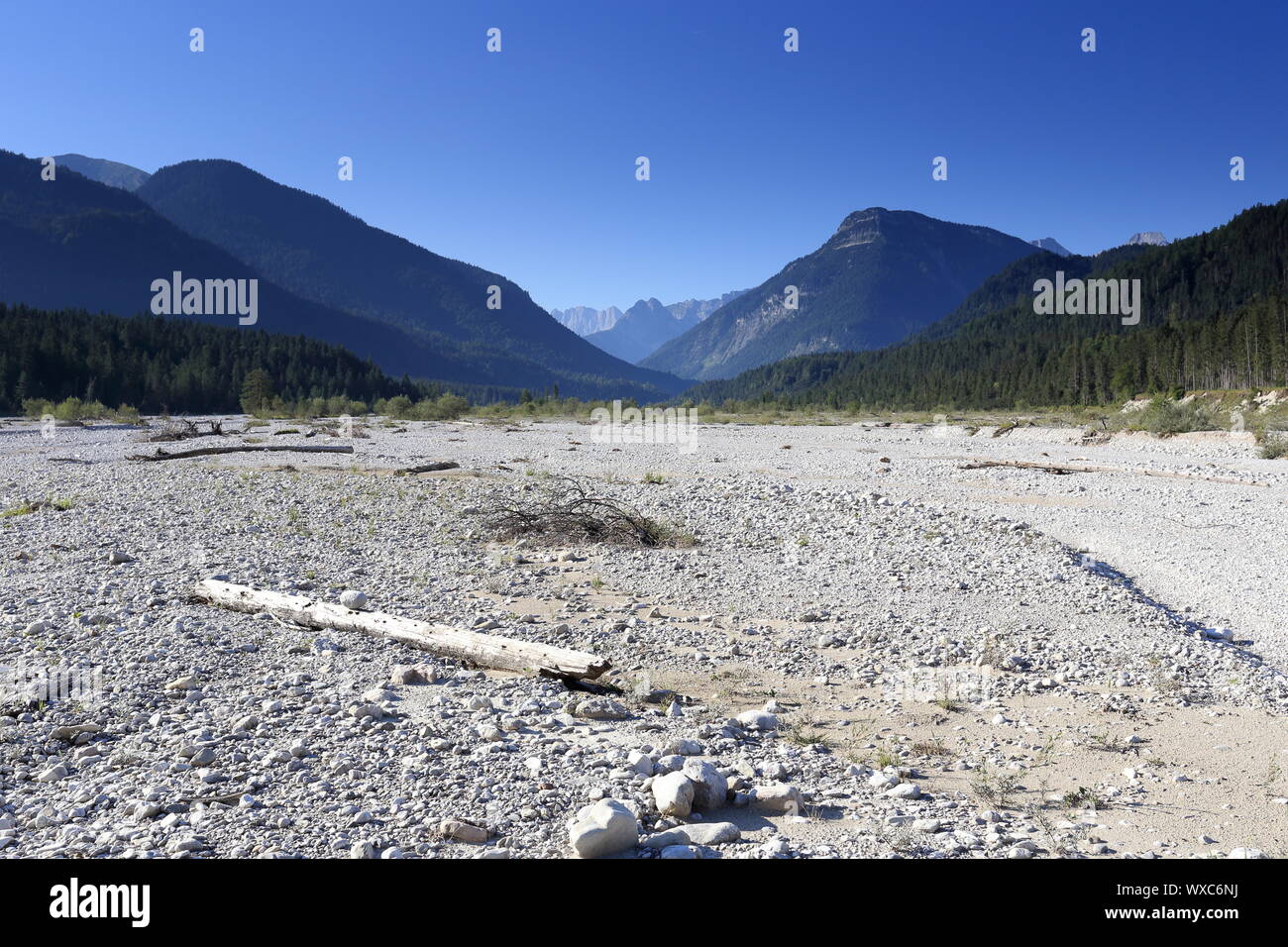 Trockenes Flussbett in natürlichen Landschaft in Bayern Stockfoto