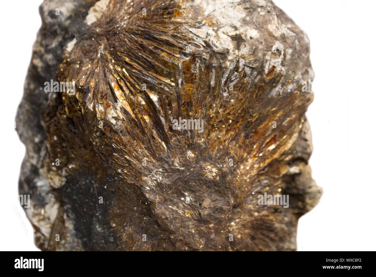 Astrophyllite sun closeup Mineral Stockfoto