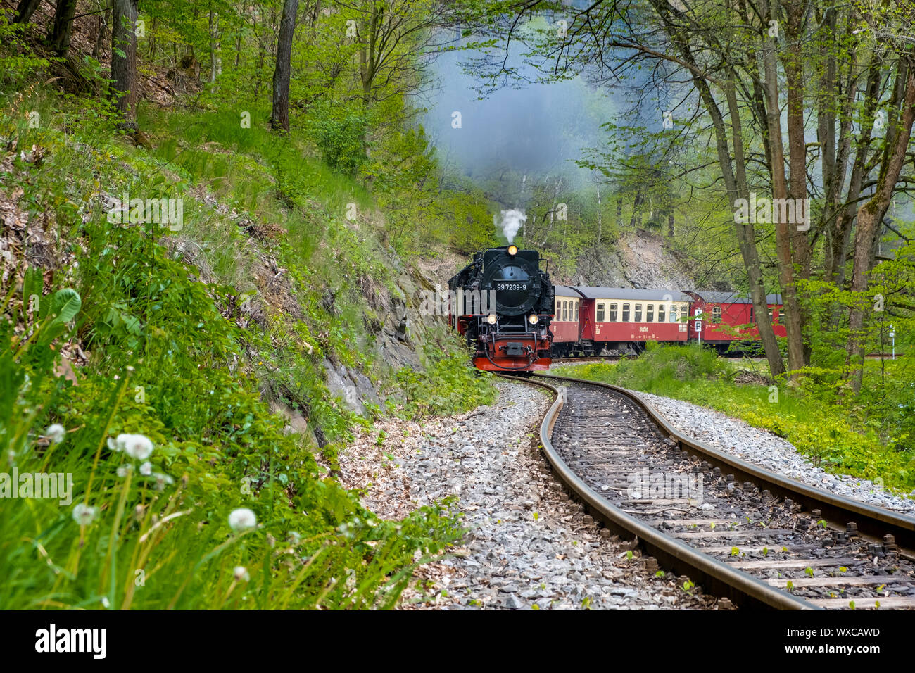 Eisenbahn Romantik im Selketal Harzer Schmalspurbahnen im Harz Stockfoto