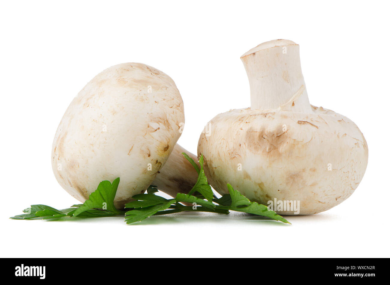 Champignon-Pilze und Petersilie isoliert auf weißem Hintergrund Stockfoto