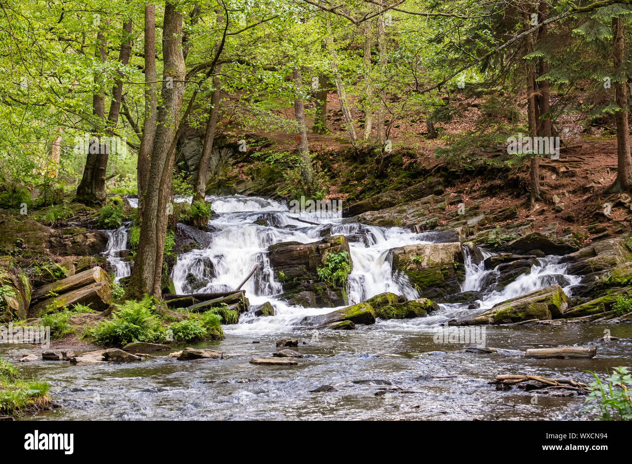 Selke Wasserfall im Harz Stockfoto