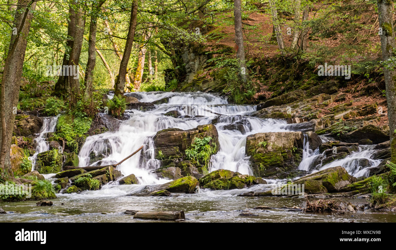 Selke Wasserfall im Harz Stockfoto