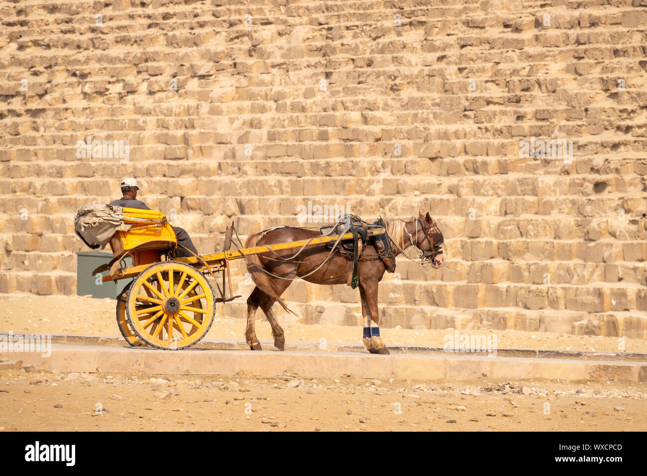 Pferd Fahrer bei den Pyramiden von Gizeh Kairo Ägypten Stockfoto
