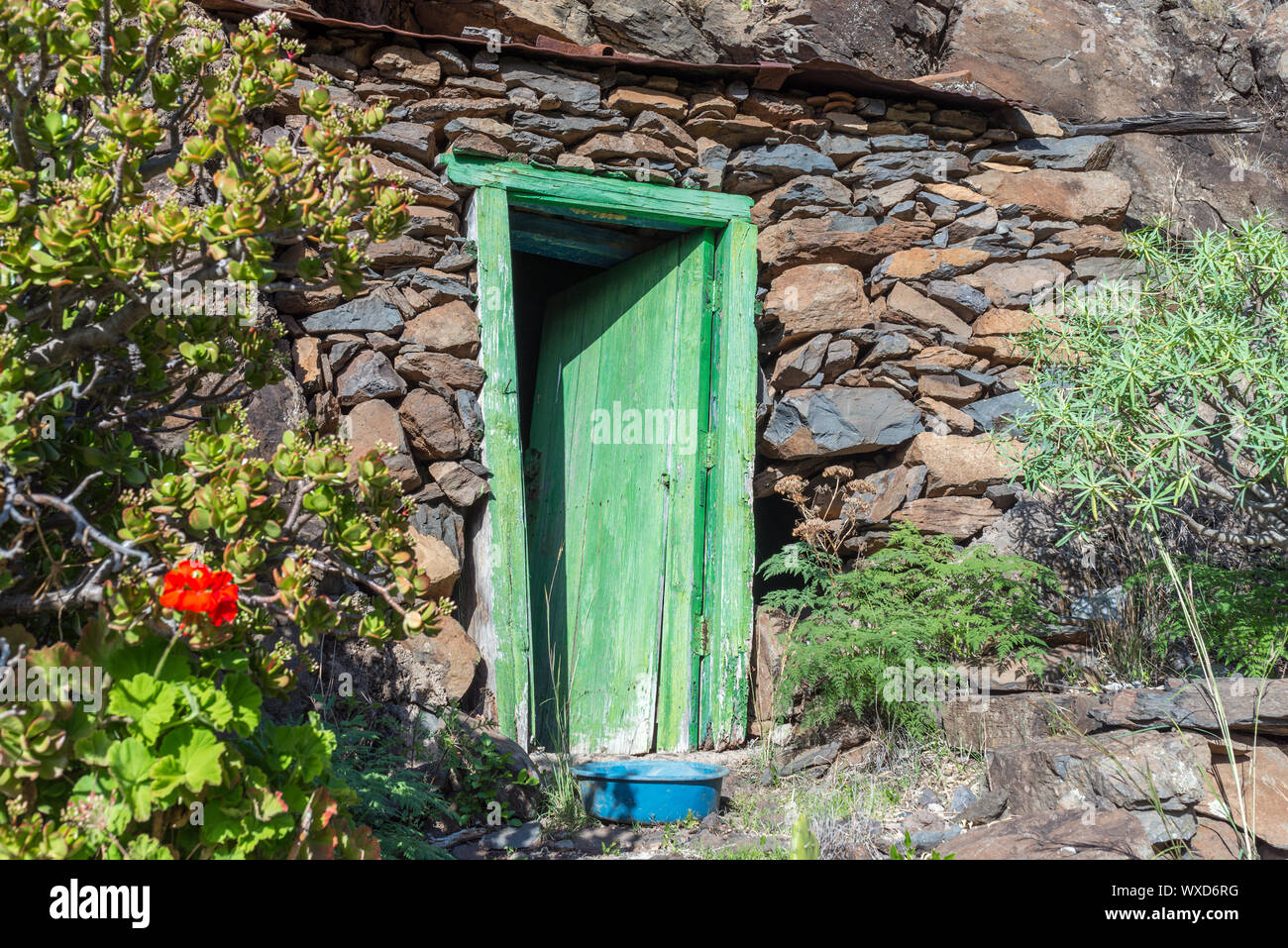 Alten grünen, Skew, hölzerne Tür an einem Stein vergossen Stockfoto
