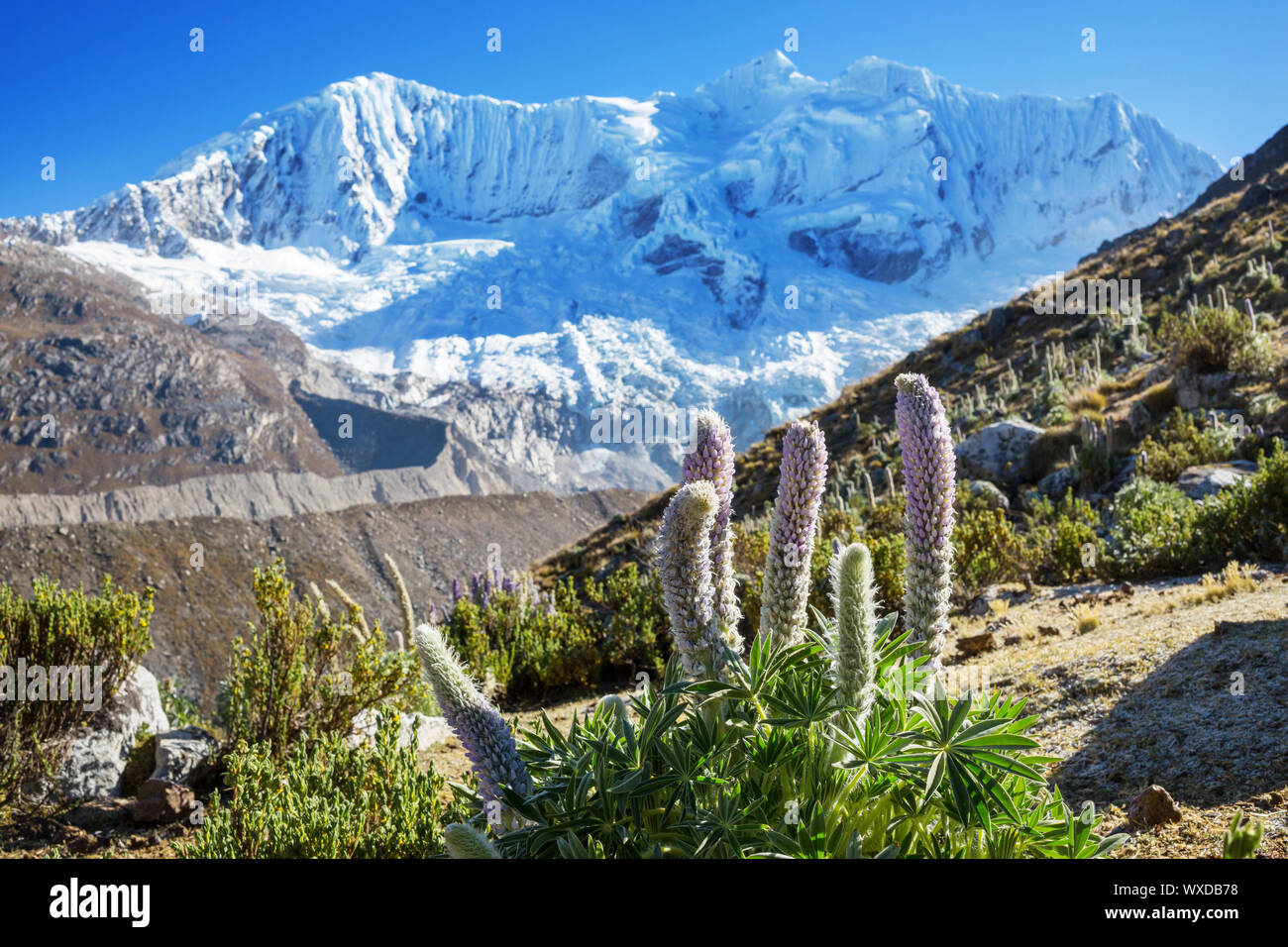 Cordillera Stockfoto