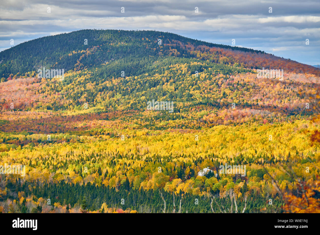 Herbst Hill, Maine, USA. Stockfoto