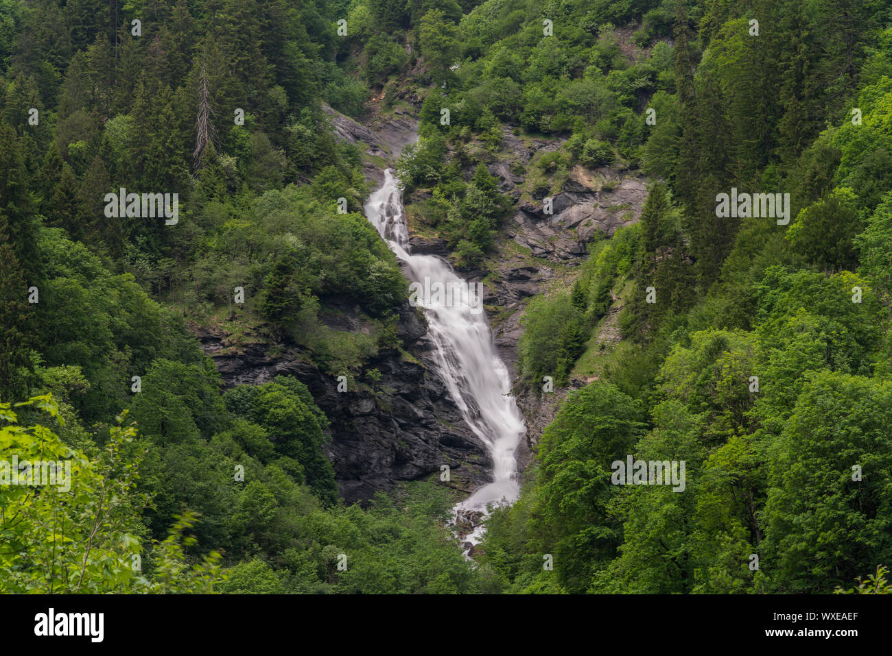 Querformat eines hohen malerischen Wasserfall im Grünen Wald landschaft Stockfoto