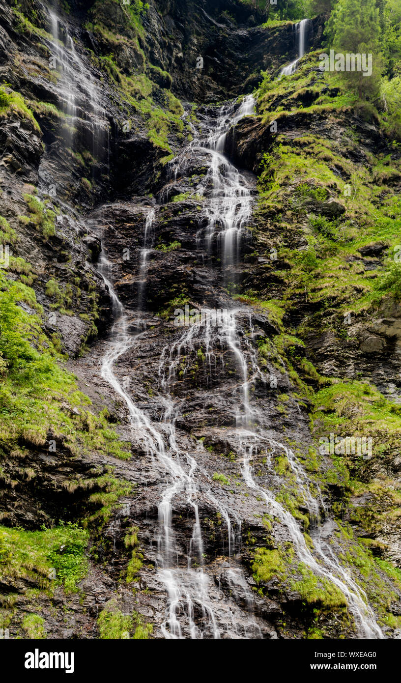 Vertikal auf die Schmonawald Wasserfall in grüner Sommer Wald im Weisstannental in der S Stockfoto
