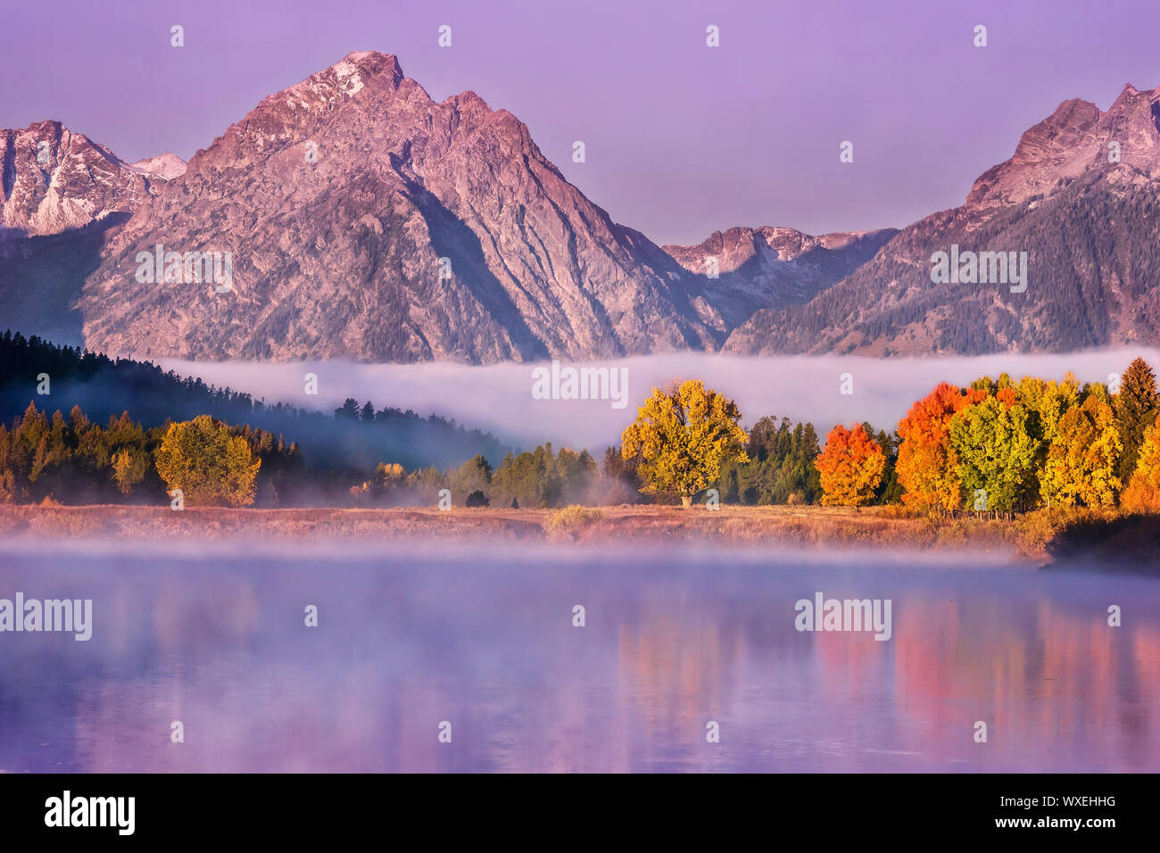 Herbst Landschaft Szene in der Dämmerung, mit bunten Laub in misty Wasser wider, und die Teton Mountains im Hintergrund. Grand Teton National Park. Stockfoto