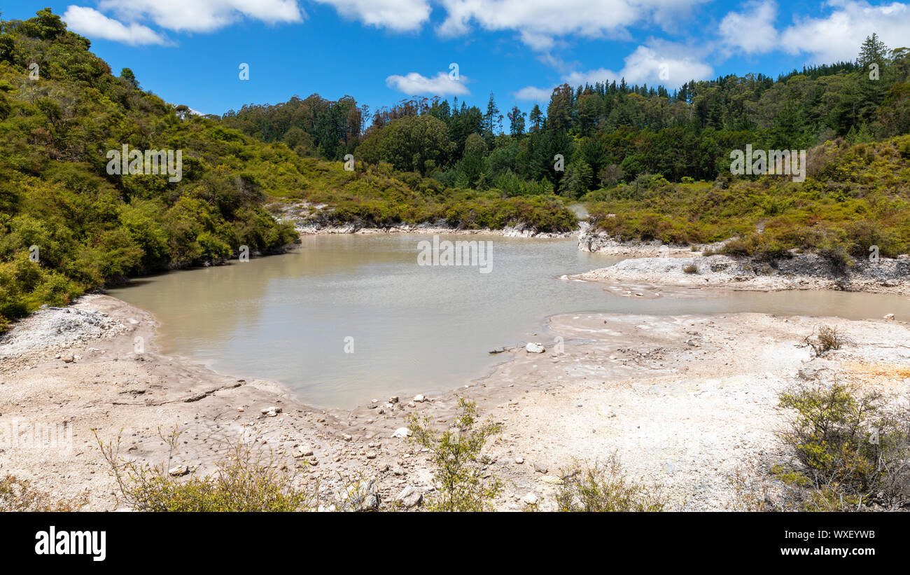 Geothermische Aktivität in Whakarewarewa Rotorua Neuseeland Stockfoto