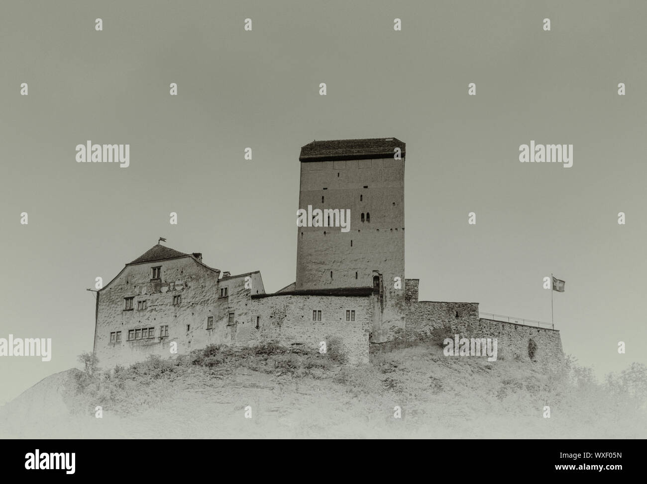 Die historischen mittelalterlichen Schloss Sargans im Südosten der Schweizer Alpen auf der grasbewachsenen Hügel promont Stockfoto