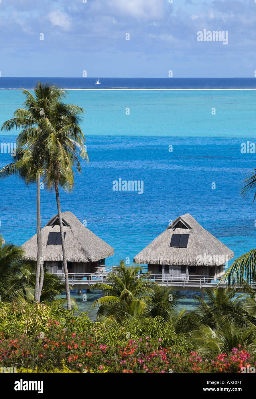Blaue Lagune der Insel Bora Bora, Französisch-polynesien. Top Blick auf Palmen, traditionelle Hütten über ... Stockfoto
