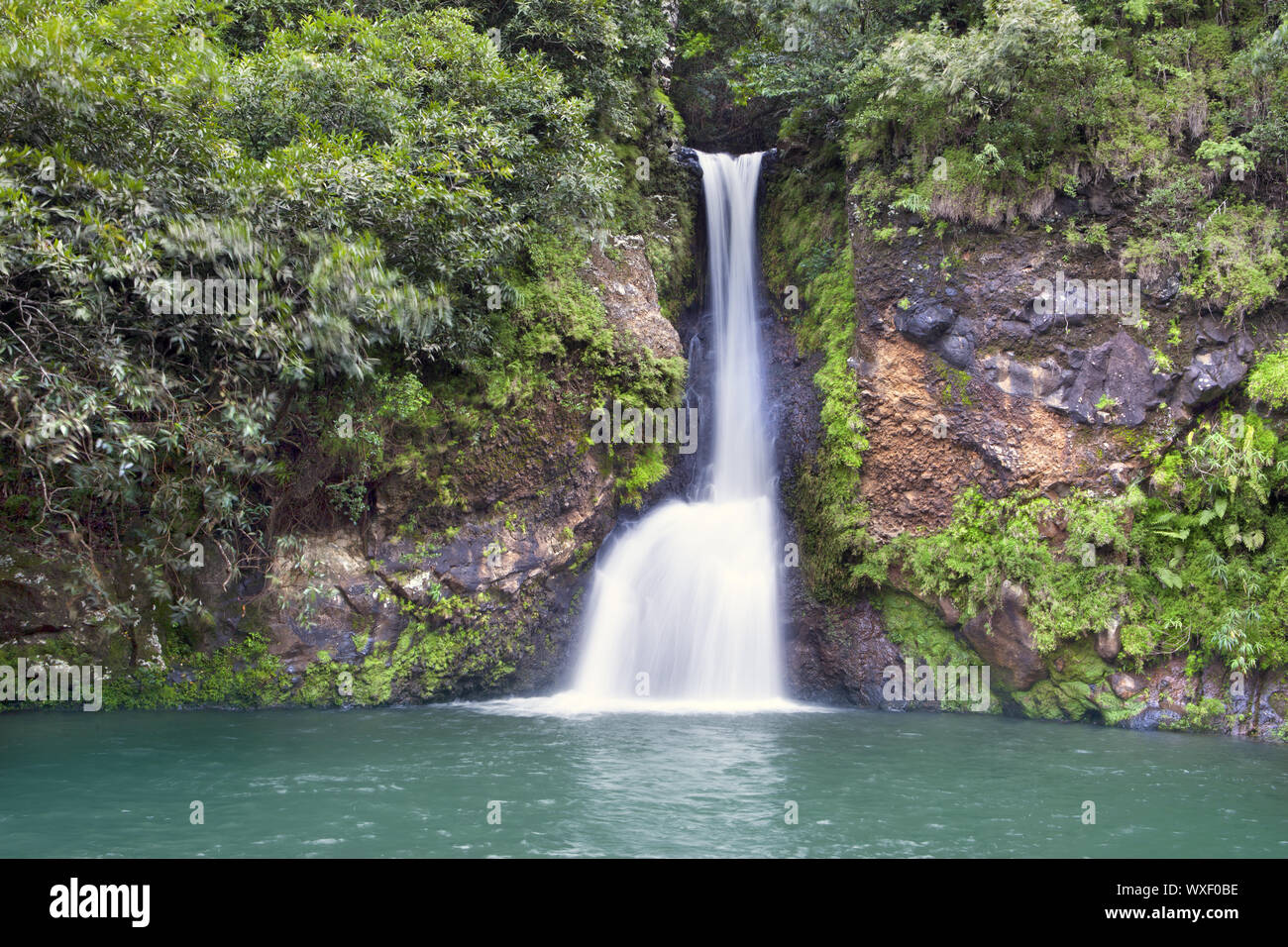Mauritius. Kleine Wasserfälle im Tal von 23 Farben der Erde Park in Mare-aux-Aiguilles Stockfoto