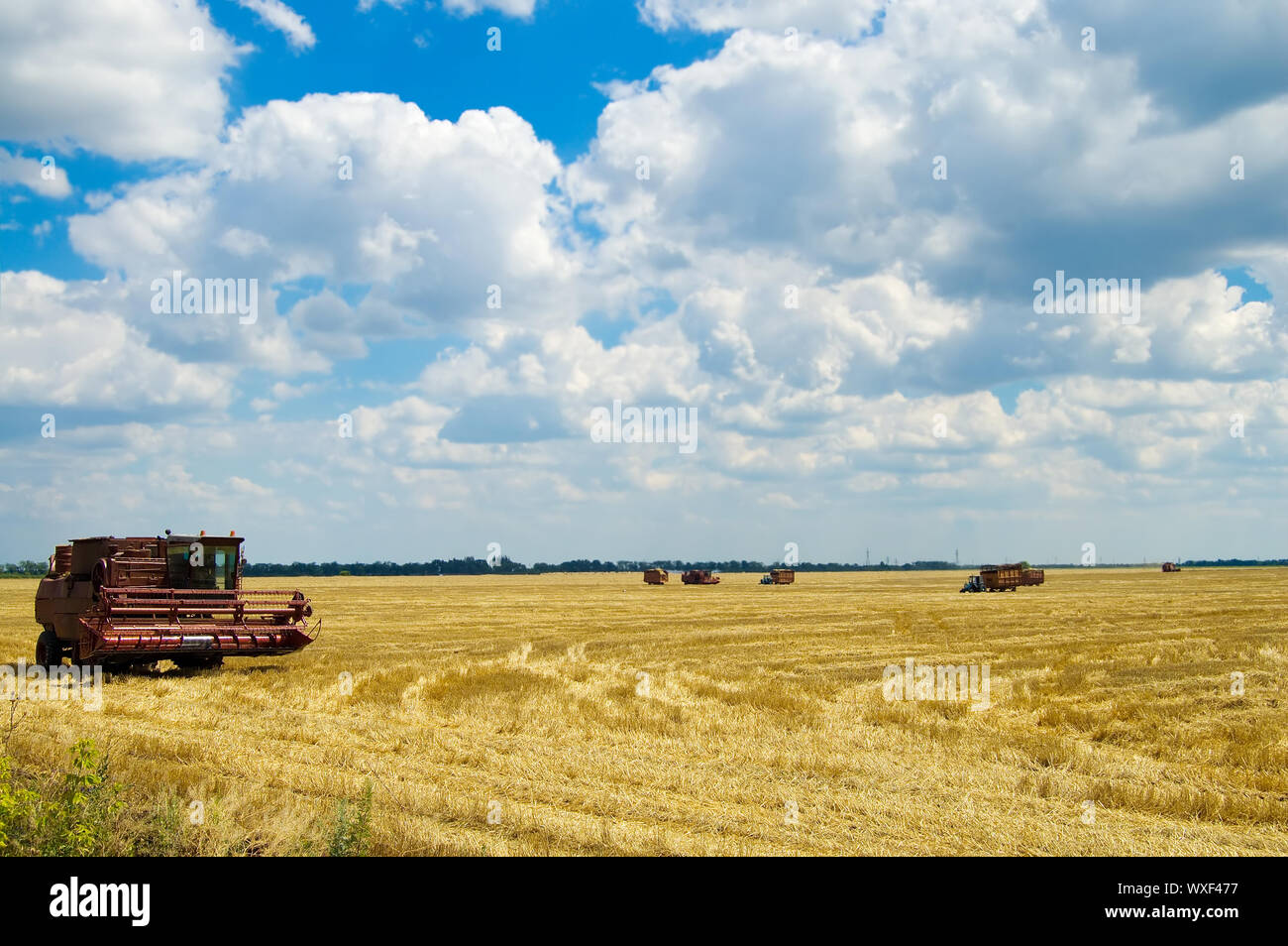 Landwirtschaftliche Maschinen auf die Ernte auf einem Hintergrund niedrigen Wolken Stockfoto
