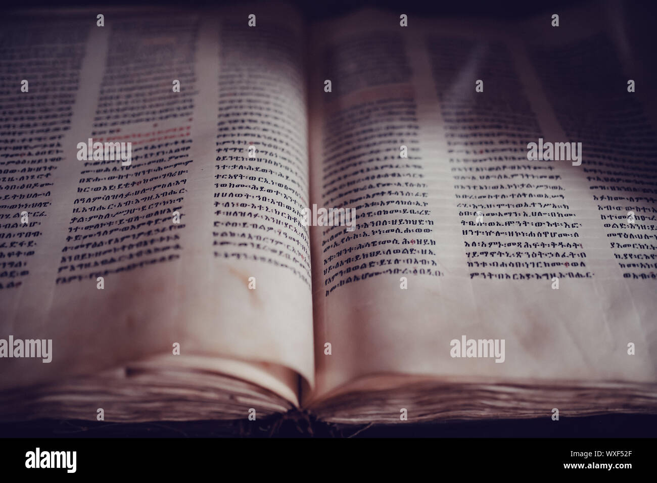 Bibel im Amharischen Sprache Stockfoto