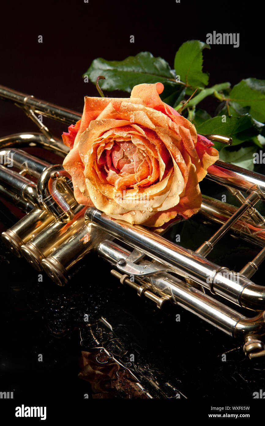 Rose und Trompete Stockfoto