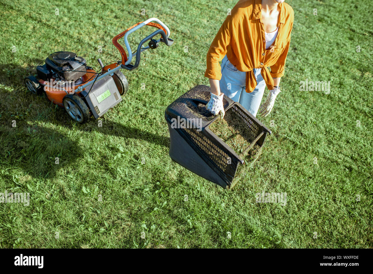 Schöne junge Frau mit Korb voller Gras bei der Gartenarbeit mit Rasenmäher auf dem Hinterhof in der Landschaft Stockfoto