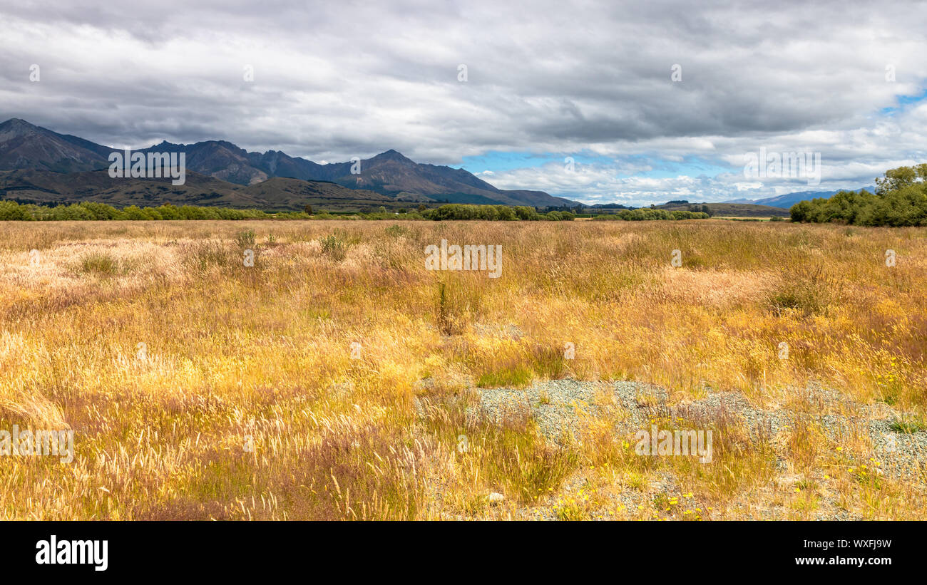Mararoa Landschaft im Süden von Neuseeland Stockfoto