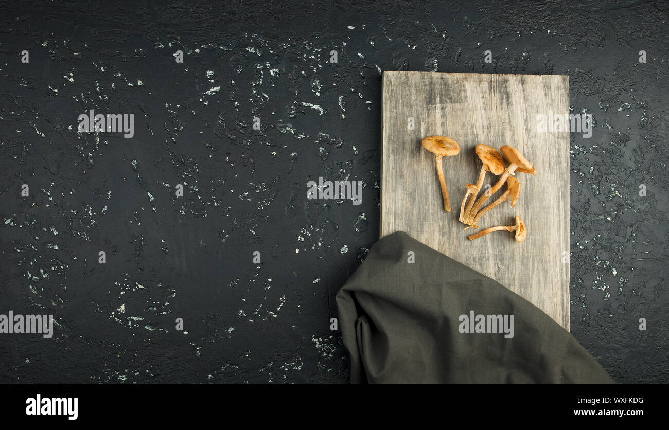 Frische Pilze mit Gewürzen und Kräutern auf dem Schwarzen Brett. Blick von oben. Kopieren Sie Platz. Stockfoto