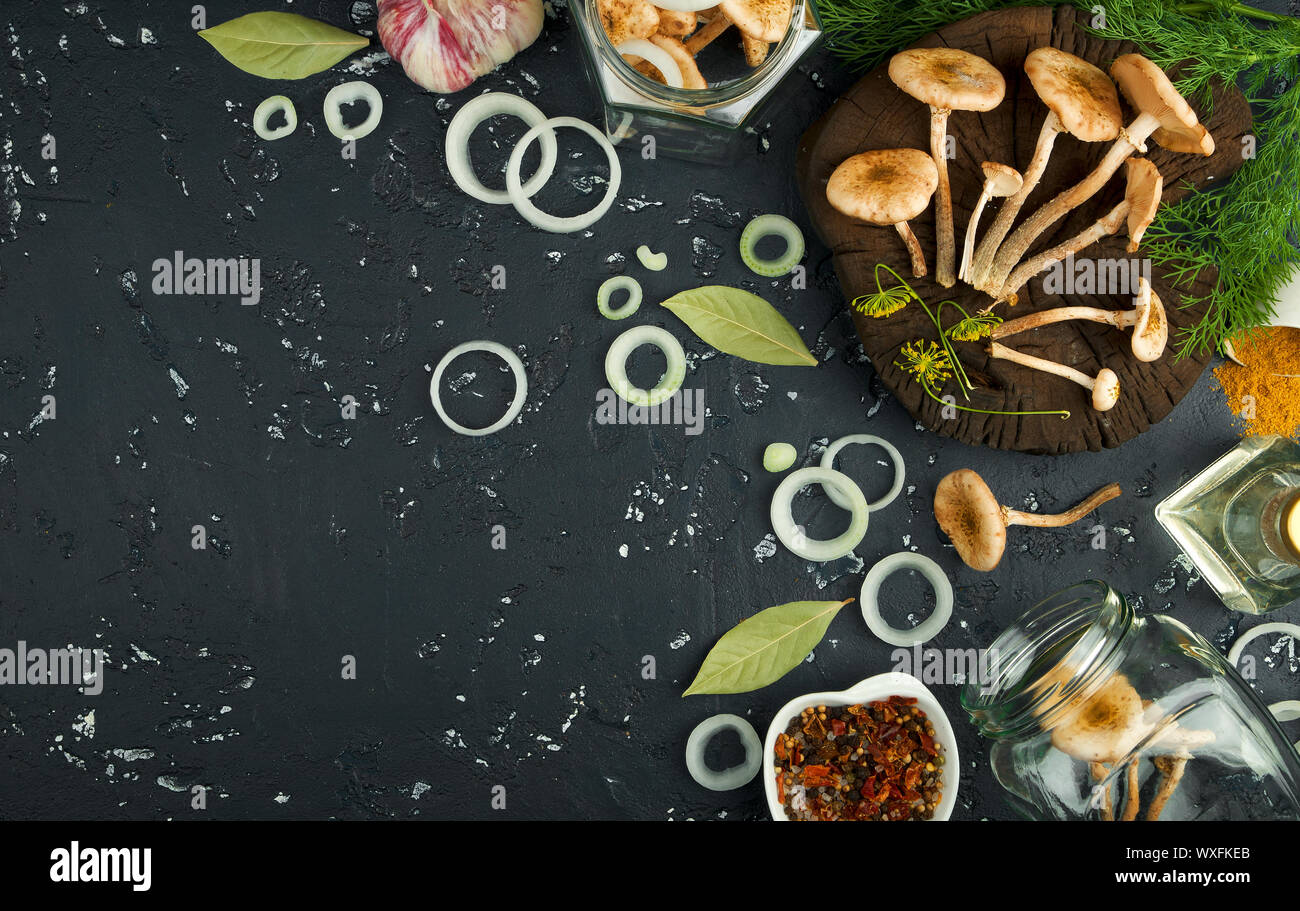 Frische Pilze mit Gewürzen und Kräutern auf dem Schwarzen Brett. Blick von oben. Kopieren Sie Platz. Stockfoto