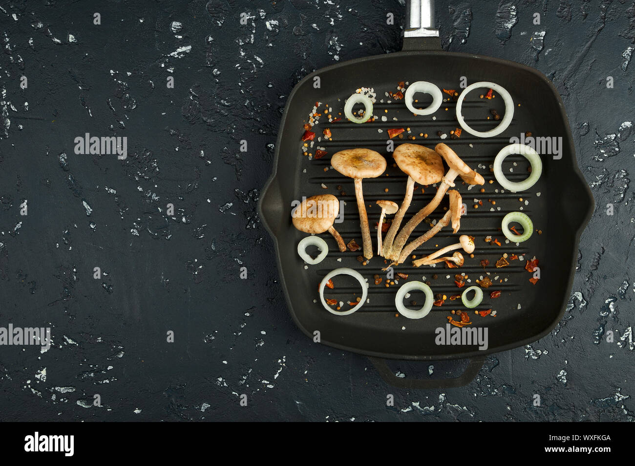 Frische Pilze mit Gewürzen und Kräutern auf dem Schwarzen Brett. Blick von oben. Kopieren Sie Platz. Stockfoto