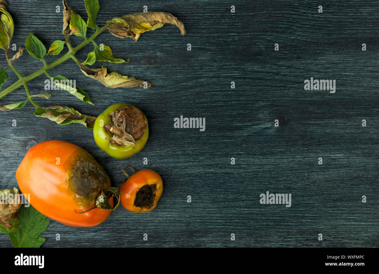 Gemüse auf Hintergrund. SICK GEMÜSE AUF EINEM HOLZ- Oberfläche. Platz kopieren Stockfoto