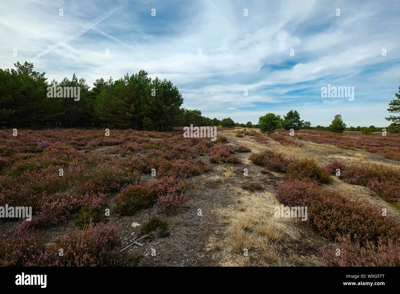 Der ehemalige Truppenübungsplatz der Roten Armee im Osten Deutschlands Stockfoto