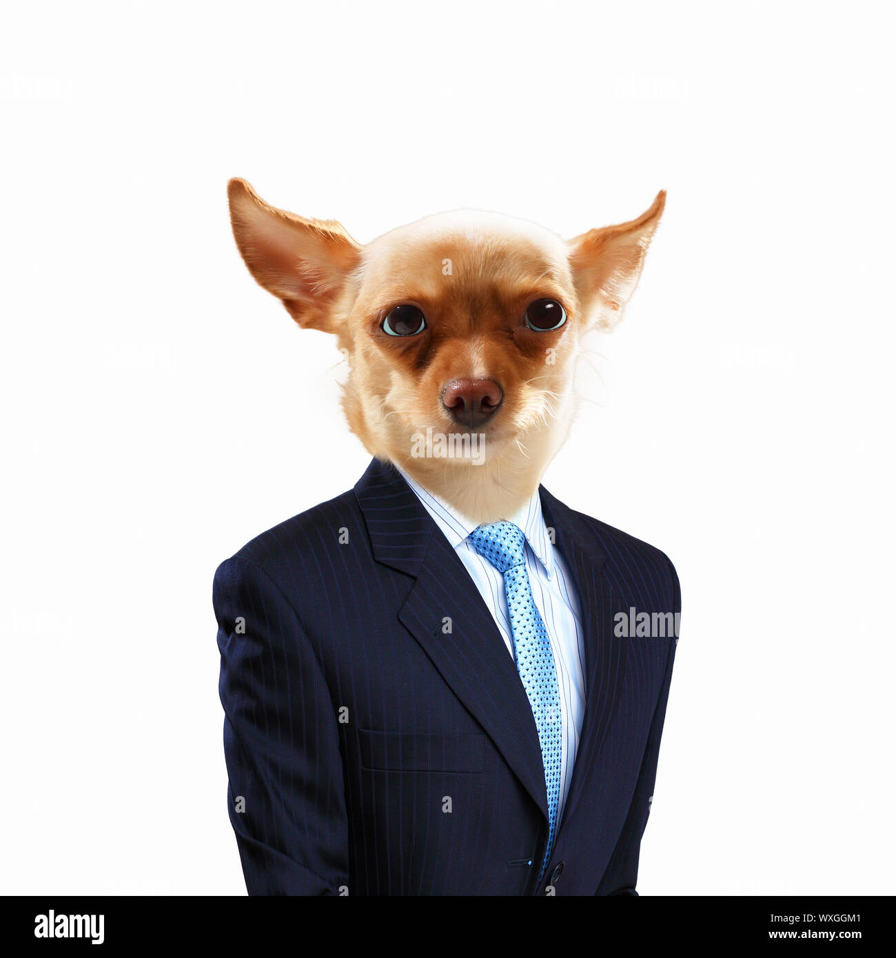 389 ba8ee-51d 2-4 b3f-b7f8-a7a482a57DA2 Stockfoto