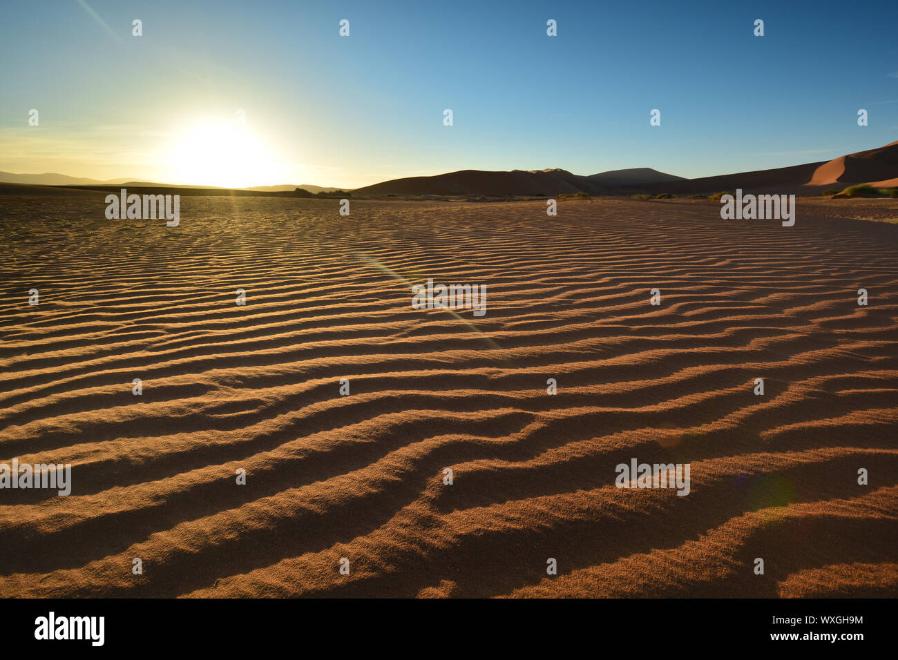 Sanddünen bei Sonnenaufgang in der Namib Wüste, Sossusvlei, Namibia, Afrika Stockfoto