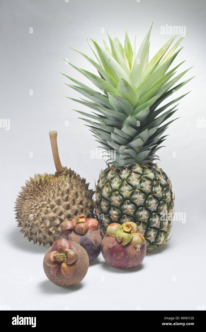 Tropische Früchte, guter Geschmack und gut für die Gesundheit. Stockfoto