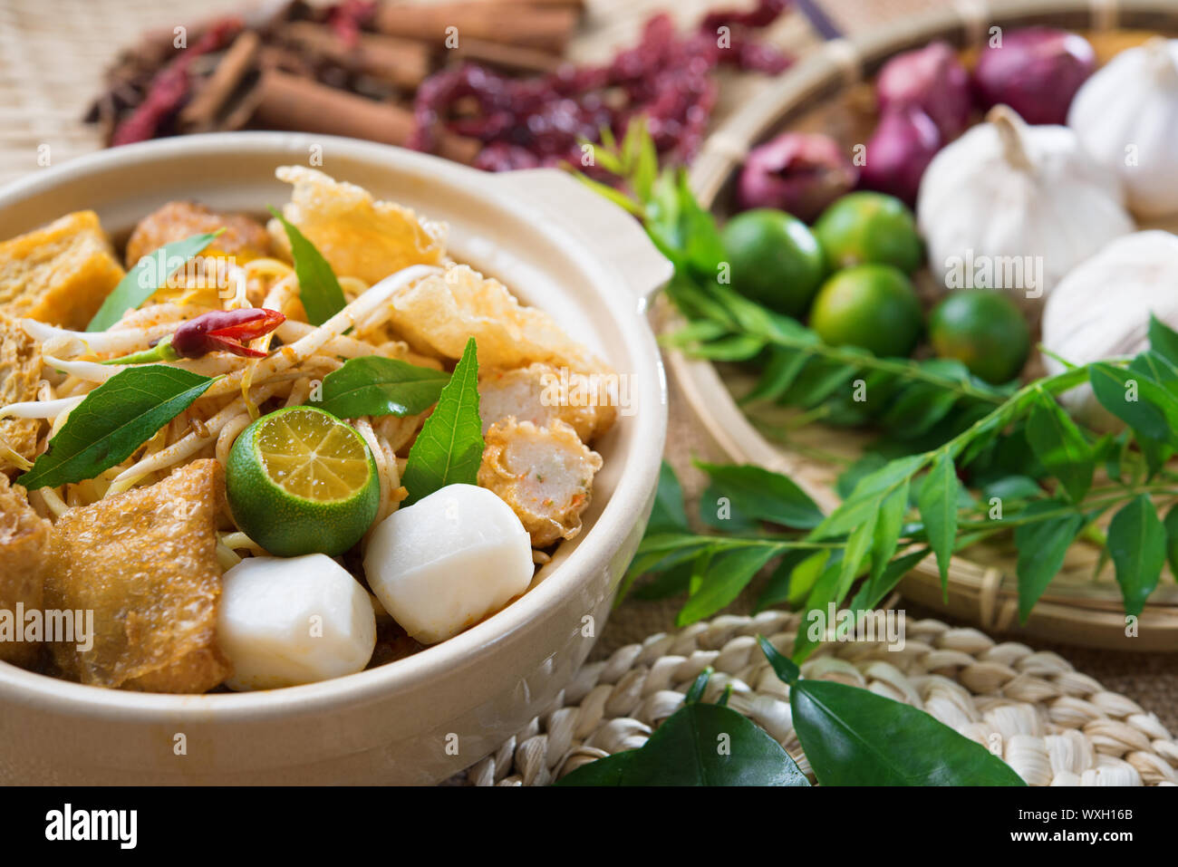 Singapur berühmten curry Nudel oder Laksa Mee mit Dekorationen auf Hintergrund. Stockfoto