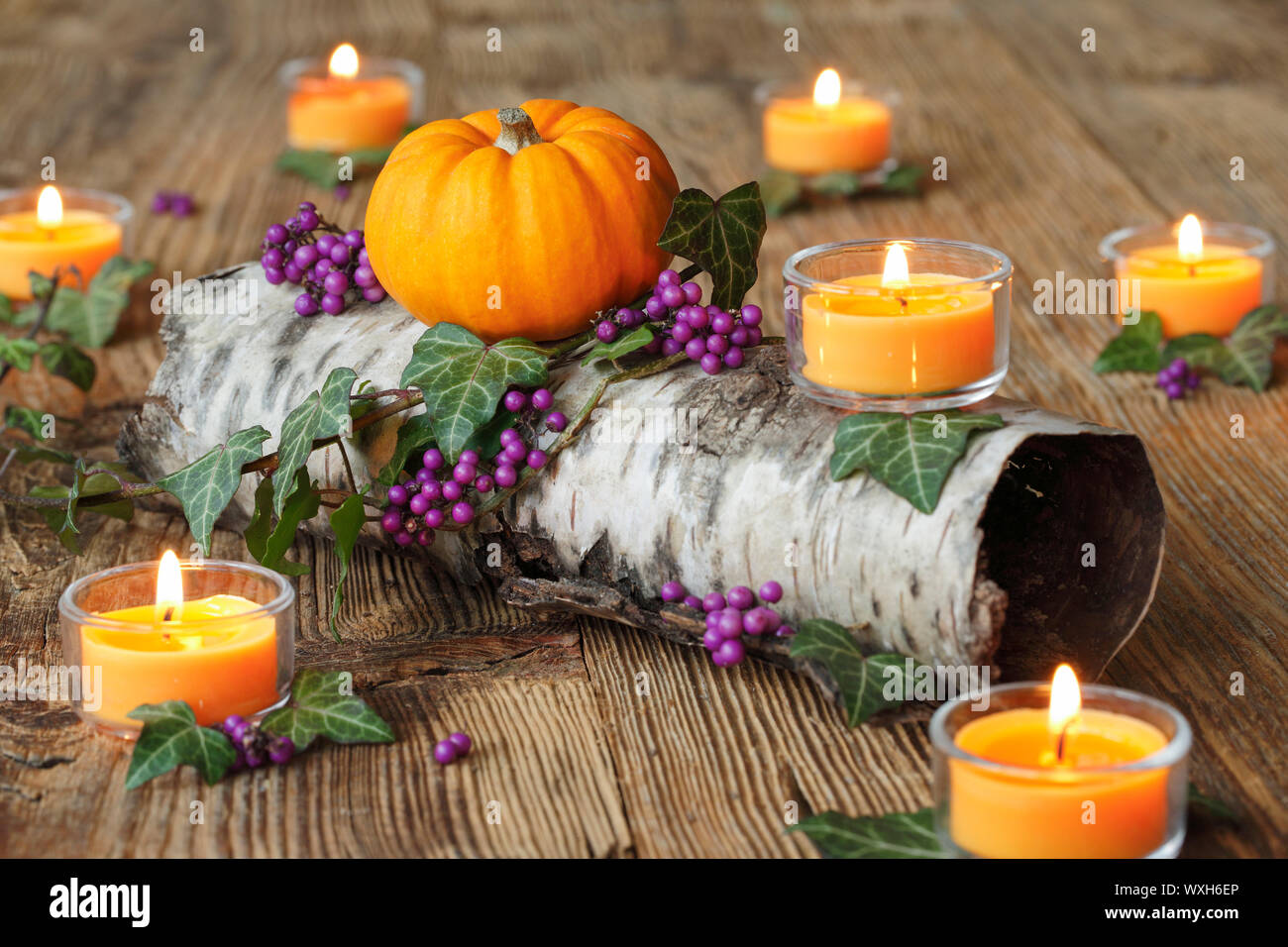 Herbst Dekoration mit brennenden Kerzen, Efeu, eine kleine Kürbis und  violetten Beeren auf einem Birkenstamm. Schweiz Stockfotografie - Alamy