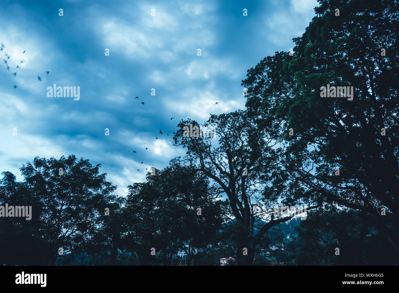 Sonnenuntergang mit See Kandy Sri Lanka bluesky Stockfoto