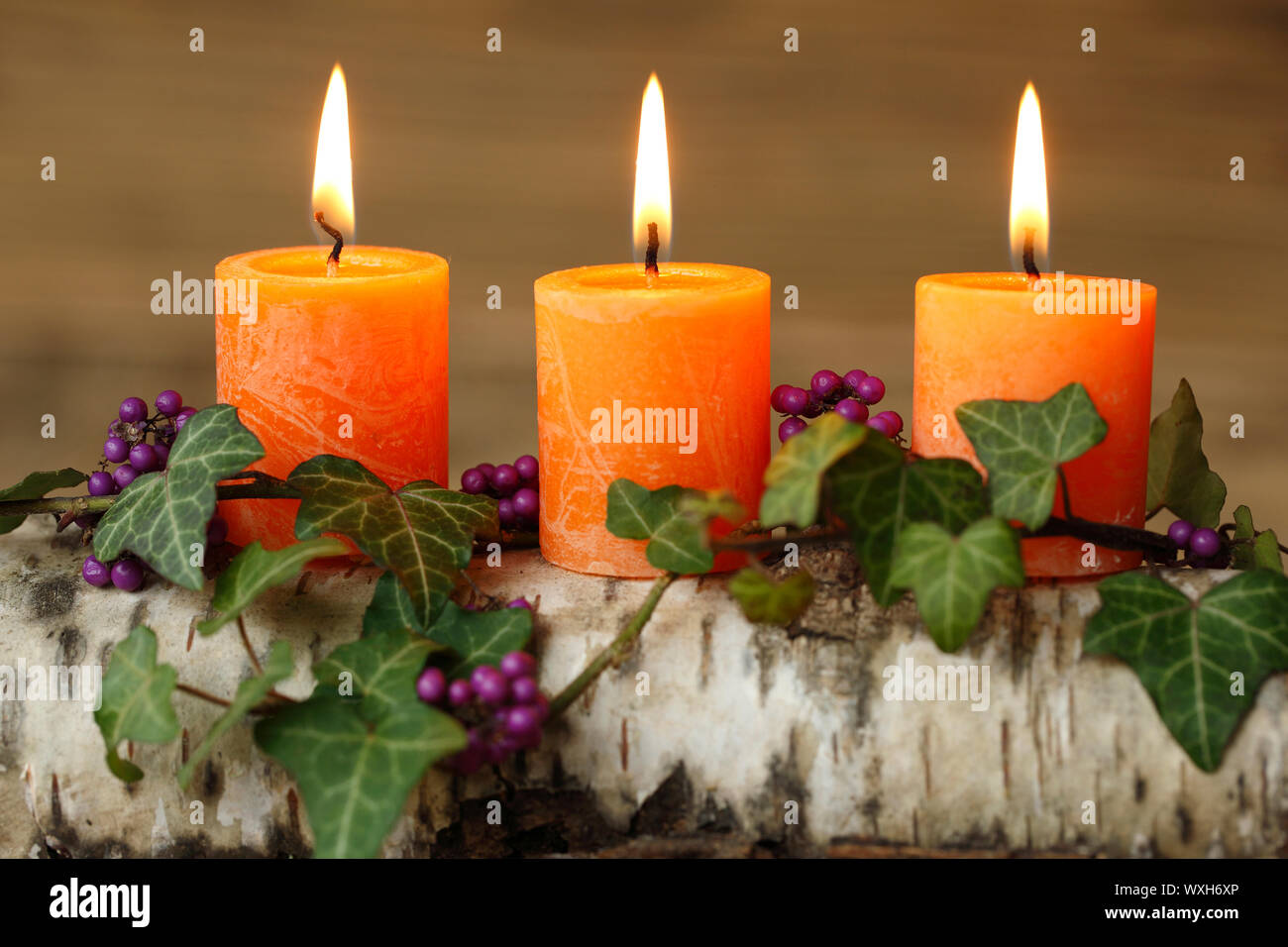 Herbstliche Dekoration mit brennenden Kerzen, Efeu und eine violette Beeren. Schweiz Stockfoto