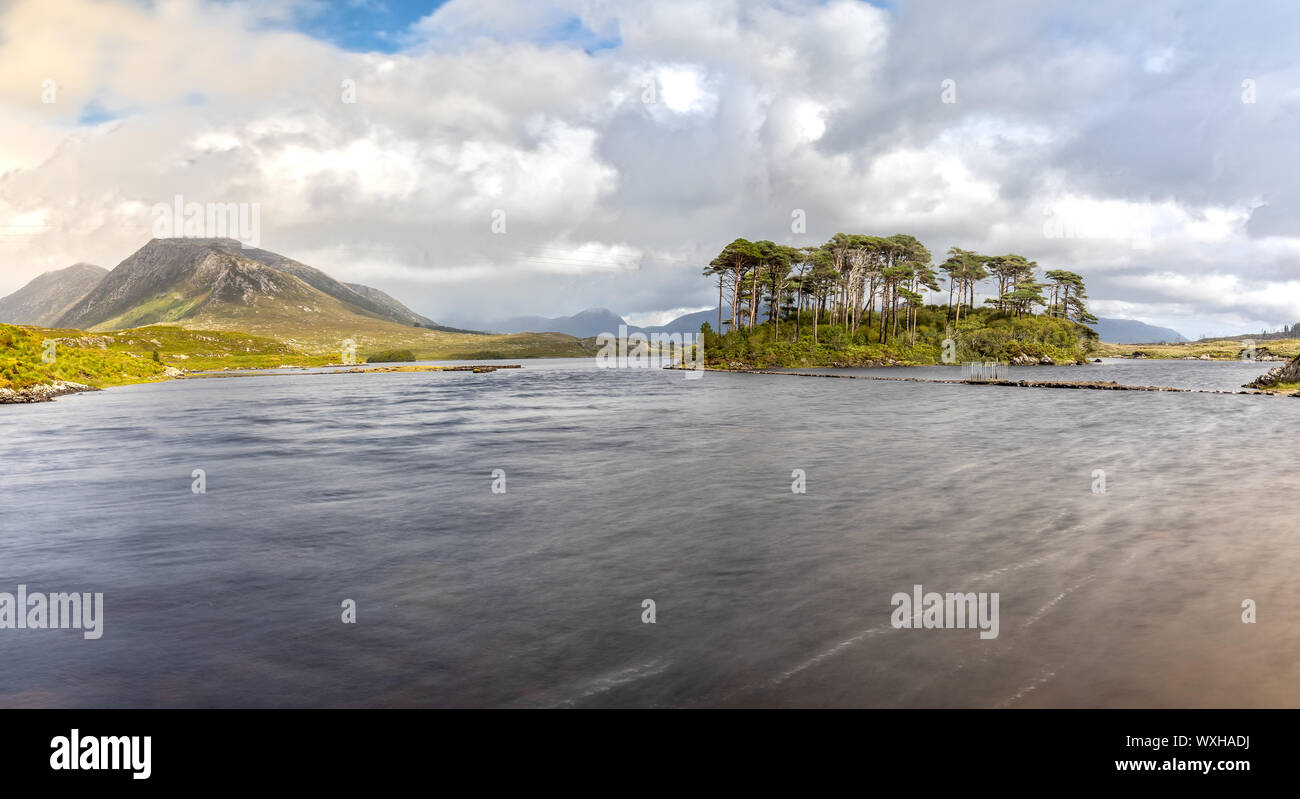 Pine Island im Derryclare Lough in den Connemara National Park, Irland Stockfoto