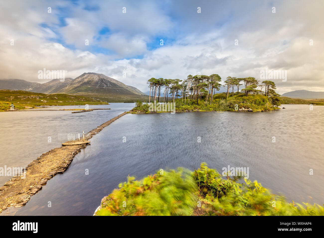 Pine Island im Derryclare Lough in den Connemara National Park, Irland Stockfoto
